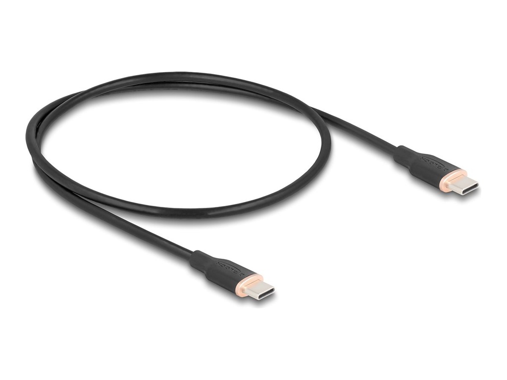 Delock USB-Kabel - USB-C (M) zu USB-C (M)