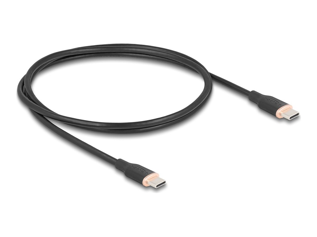 Delock USB-Kabel - USB-C (M) zu USB-C (M)