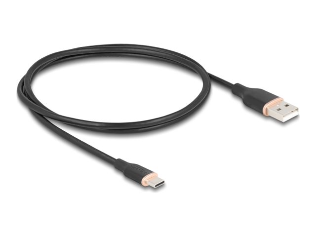 Delock USB-Kabel - USB (M) zu USB-C (M) - USB 2.0