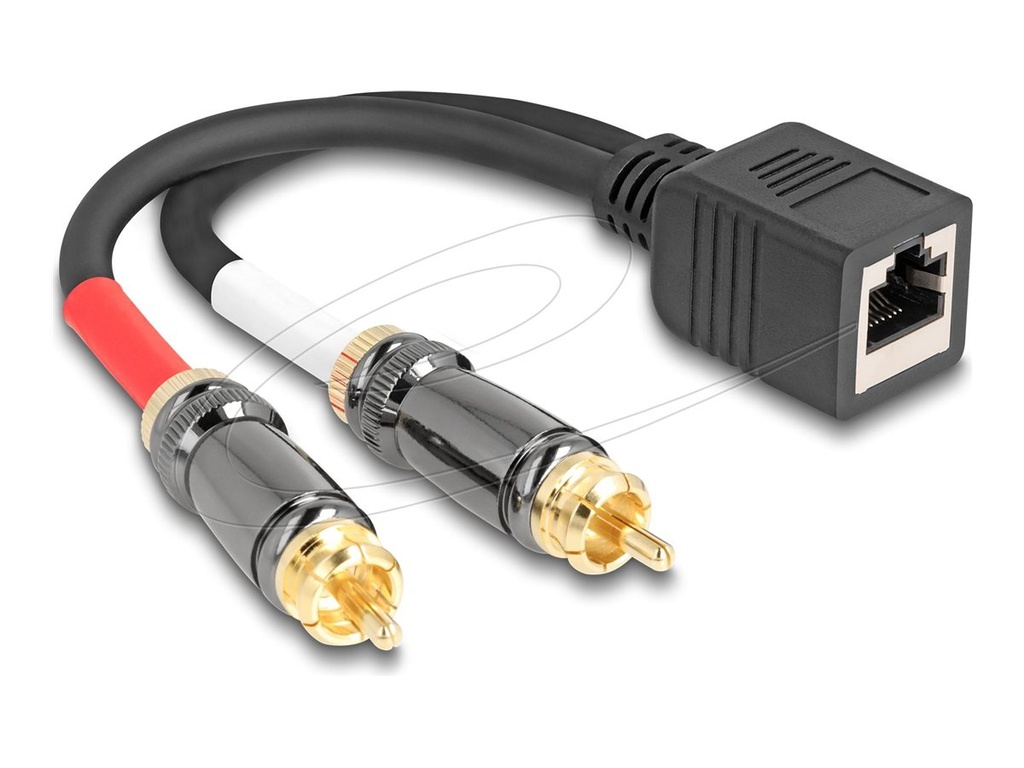 Delock Audio-Adapter - RCA männlich zu RJ-45 weiblich