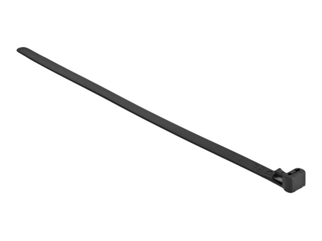 Delock Kabelbinder - wärmebeständig, wiederverwendbar - 30 cm - Schwarz (Packung mit 100)