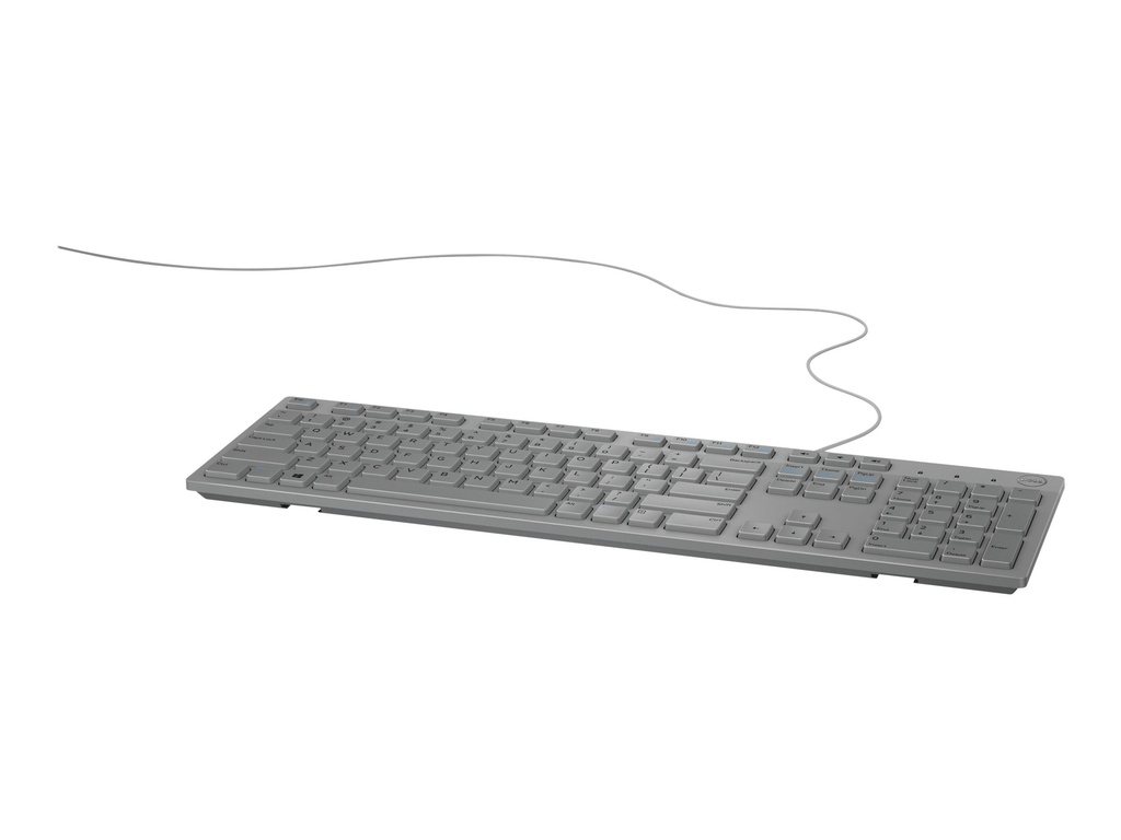 Dell KB216 - Tastatur - USB - QWERTY - GB - Grau