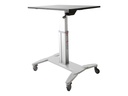 StarTech.com Mobiler Sitz-/Steh-Arbeitsplatz