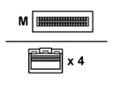Lenovo Breakout-Direktanschlusskabel - QSFP28
