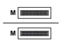 Lenovo Ethernet 100GBase-AOC cable - QSFP28 zu QSFP28 - 1 m - Glasfaser - Active Optical Cable (AOC)