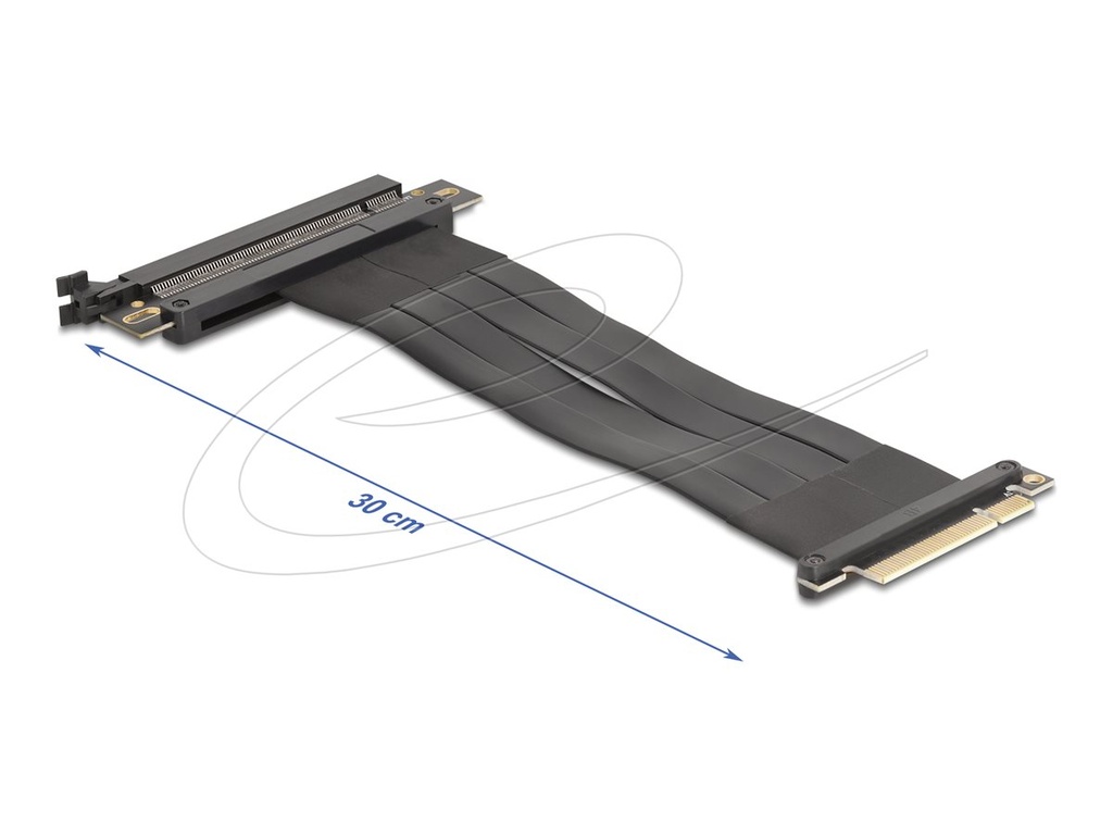 Delock Riser Card