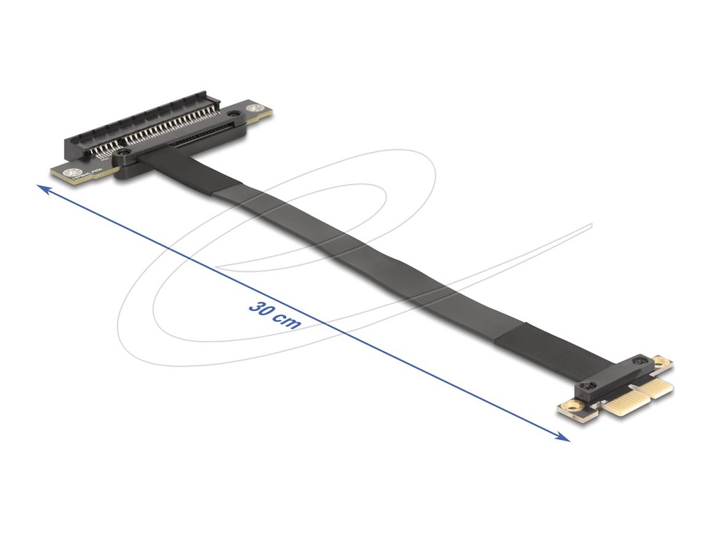 Delock Riser Card