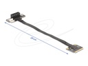 Delock Riser Card