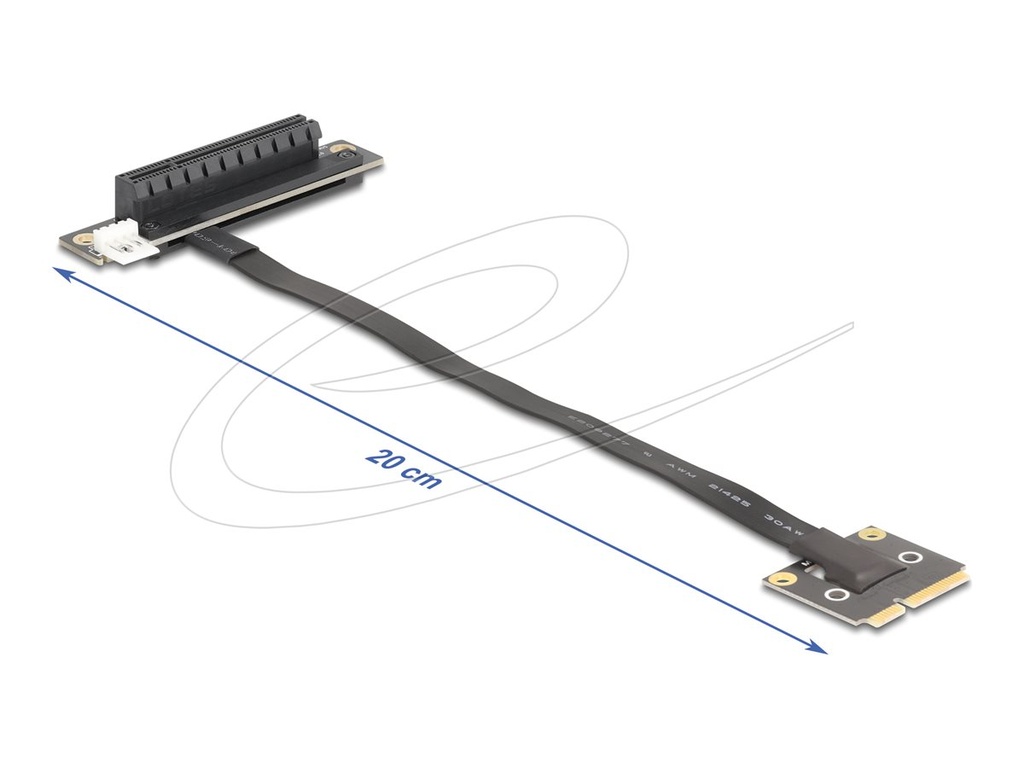 Delock Riser Card