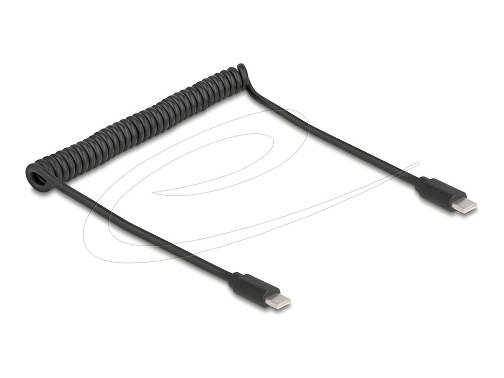 Delock USB-Kabel - USB-C (M) zu USB-C (M)