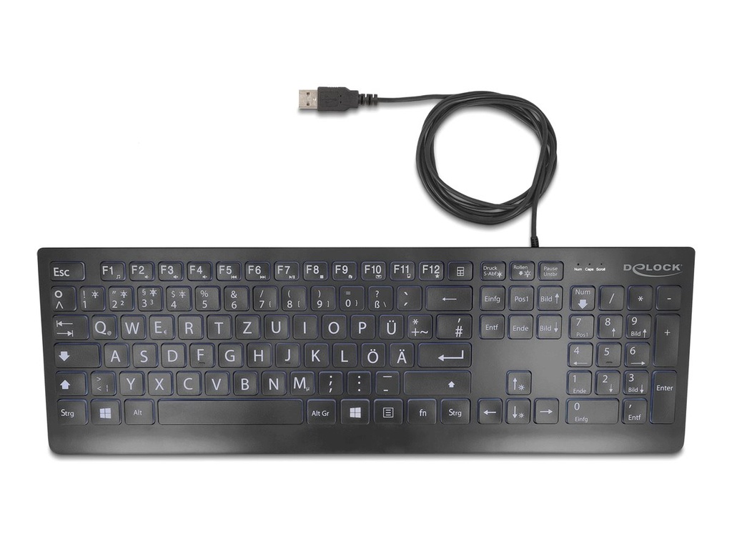 Delock Tastatur - verkabelt 1,5 m, mit XXL-Buchstaben