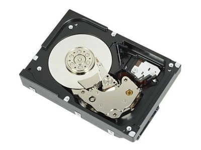 Dell  Kunden-Kit - Festplatte - 12 TB - 512e, ISE - intern - 3.5" (8.9 cm)