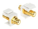 Delock Modularer Einschub (Kopplung) - RCA