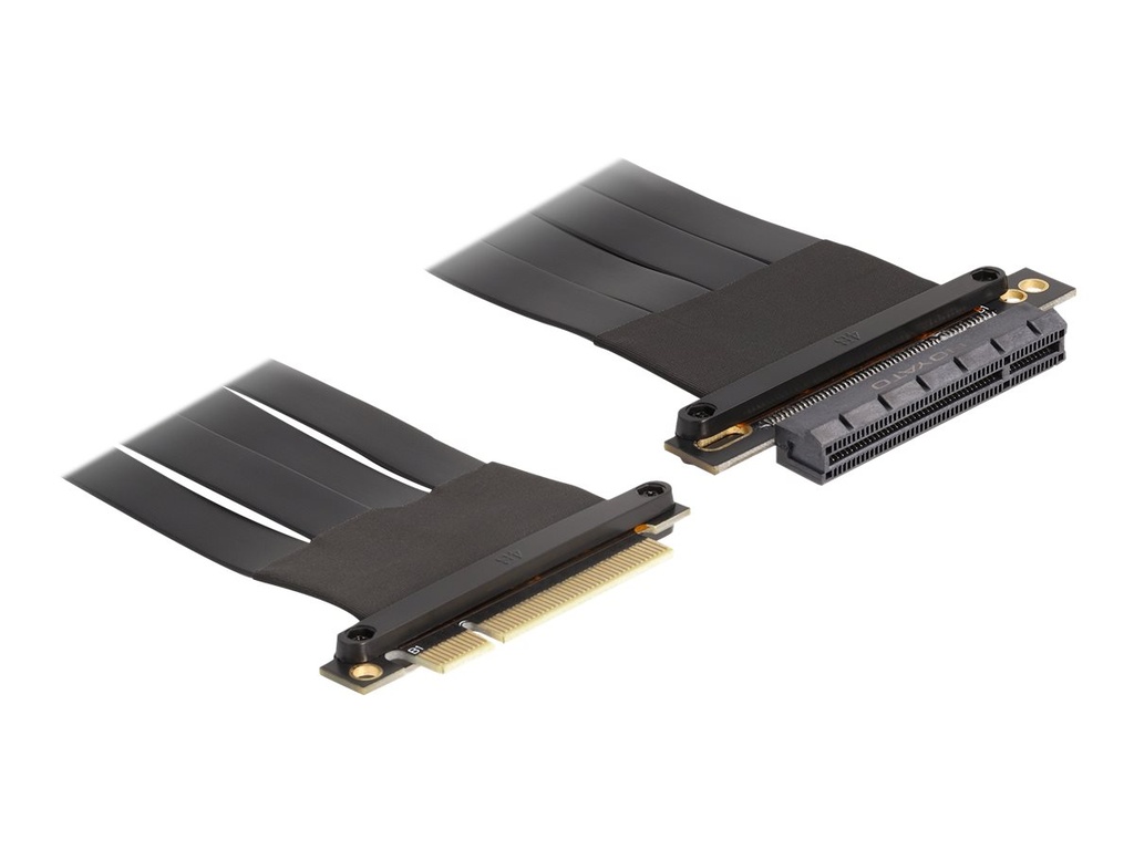 Delock Riser Card
