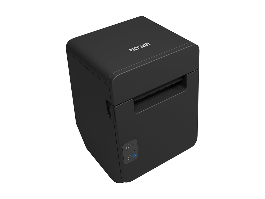 Epson TM T20IV (102) - Belegdrucker - Thermozeile - Rolle (7,95 cm)