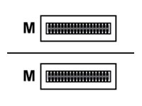 HPE Aruba - 40GBase-AOC Direktanschlusskabel - QSFP+ (M)