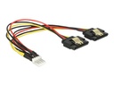 Delock Netzteil - 4-Pin-Mini-Stromversorgungsstecker (M)