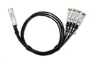 ZyXEL 100GBase-AOC Direktanschlusskabel - QSFP28