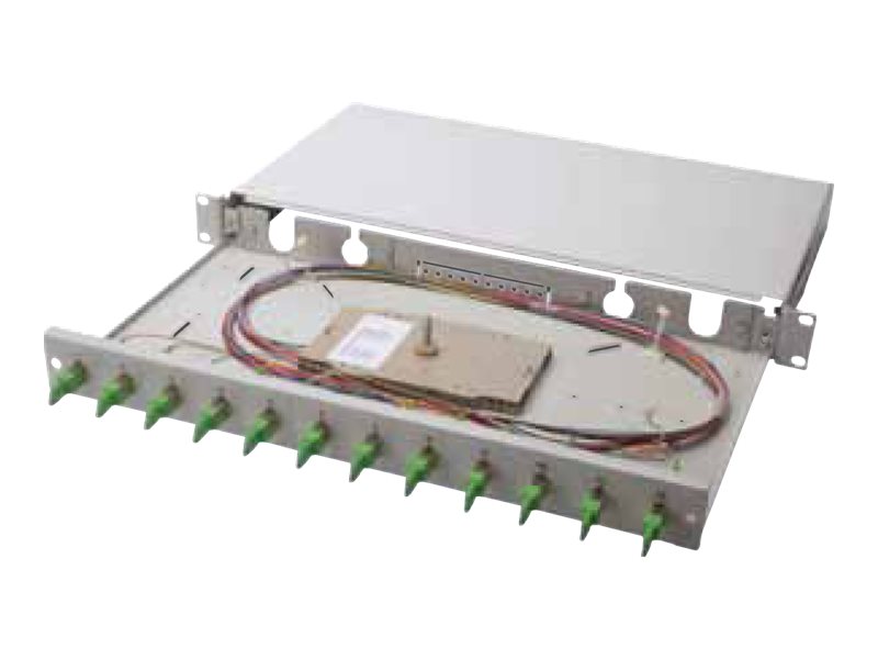 DIGITUS Professional - Glasfaserkabelkiste - 1U - 48.3 cm (19")