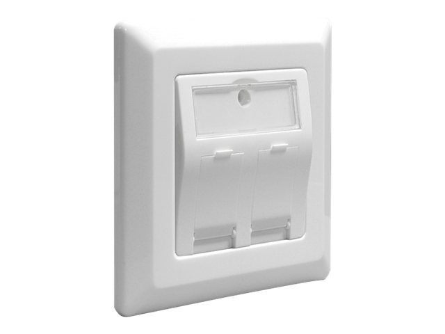 Delock Keystone Wall Outlet - Wanddose - weiß, RAL 9010