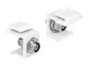 Delock Modularer Einschub (Kopplung) - FC