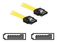 Delock SATA-Kabel - Serial ATA 150/300 - SATA (W)