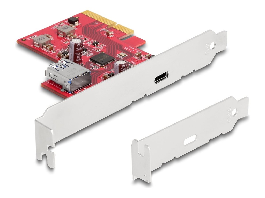 Delock Riser Card