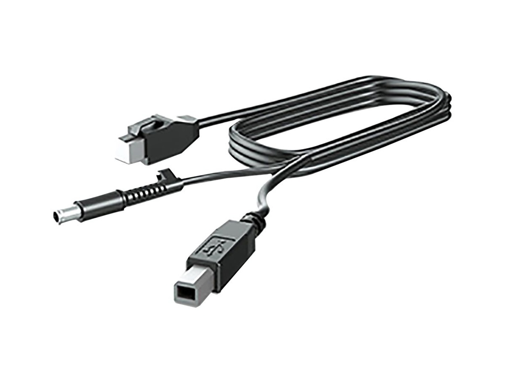 HP 300cm DP CABLE - Kabel - Digital/Display/Video