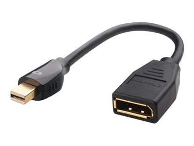 Lenovo Cable Matters - DisplayPort-Adapter - DisplayPort (W)