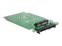 Delock Converter SATA 22 pin > mSATA - Speicher-Controller
