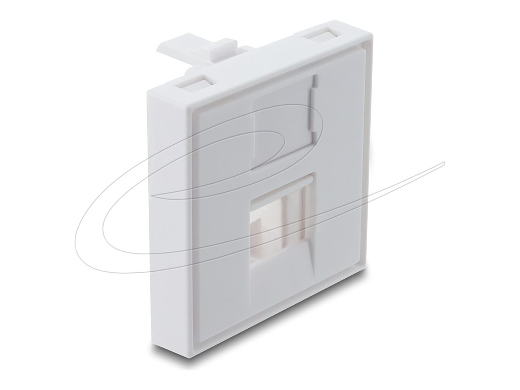 Delock Easy 45 - Keystone-Modulträger - mit