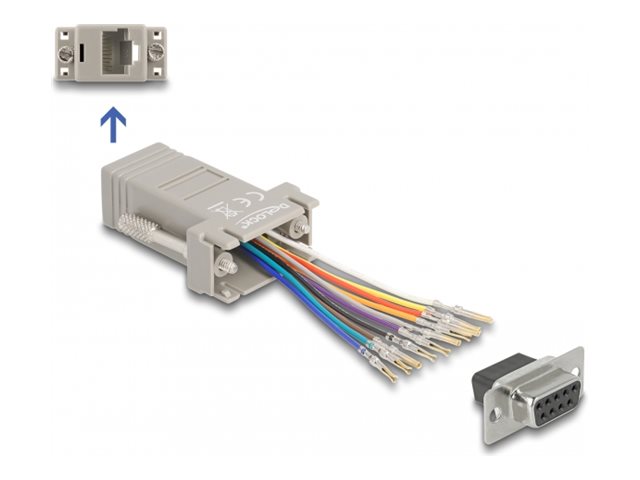 Delock Serieller Adapter - RJ-50 (W) zu DB-9 (W)