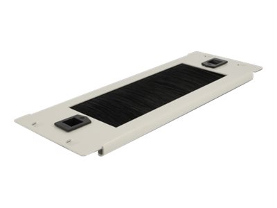 Delock Kabelmanagementleiste - Grau - 2U - 25.4 cm (10")