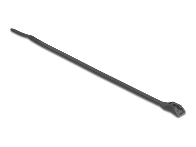 Delock Kabelbinder - mit flachem Kopf, B 7,6 mm - 37 cm - Schwarz (Packung mit 100)