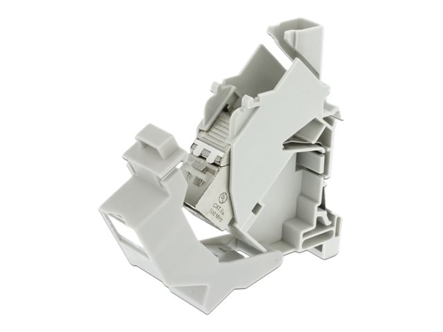 Delock Keystone Mounting for DIN rail with dust