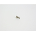 Fsas Technologies RU6SW2N3-08121 - Schraube - M3