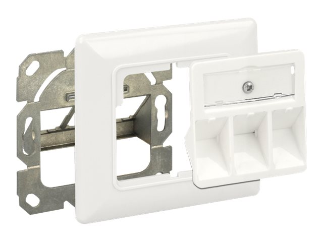 Delock Keystone Wall Outlet - Wanddose - Pure