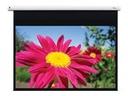 Optoma DE-1123EGA - Leinwand - Deckenmontage möglich, geeignet für Wandmontage - motorisiert - 312 cm (123")