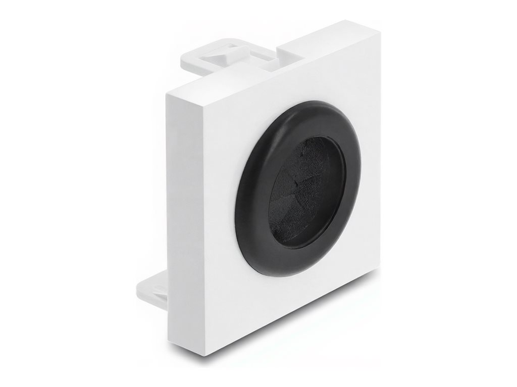 Delock Easy 45 - Einrastmodul - Kabeldurchführung
