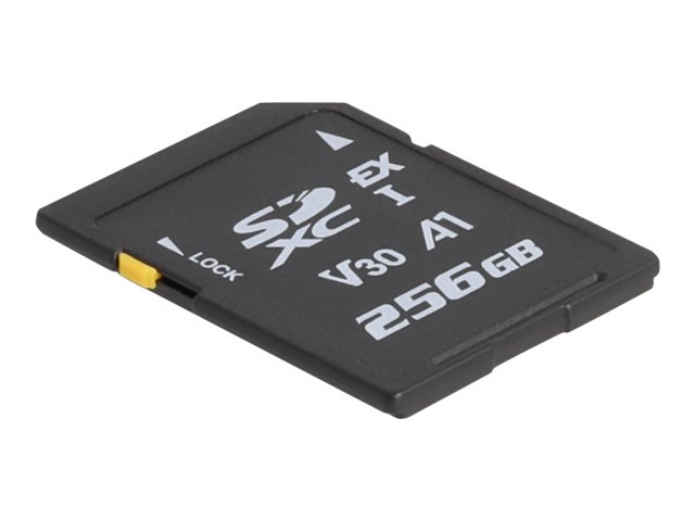 Delock Flash-Speicherkarte - 256 GB - Video