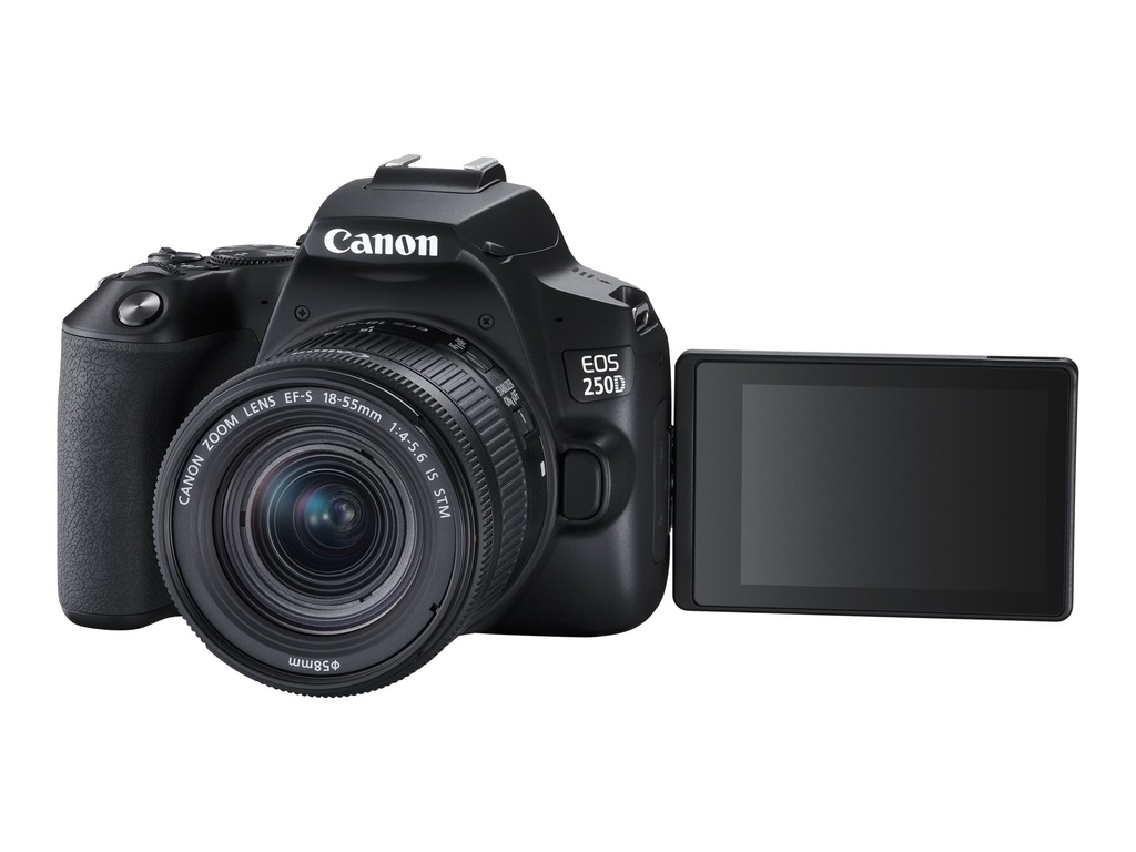 Canon EOS 250D - Digitalkamera - SLR - 24.1 MPix