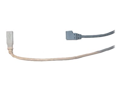 Zebra USB-Kabel - USB Typ B (M) zu USB (M)