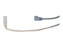 Zebra USB-Kabel - USB Typ B (M) zu USB (M)