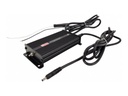 Zebra Lind - Stromversorgung - Auto - DC 12 - 60 V