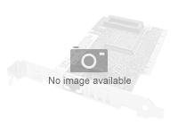 Synology P2100G - Netzwerkadapter - PCIe 4.0 x16