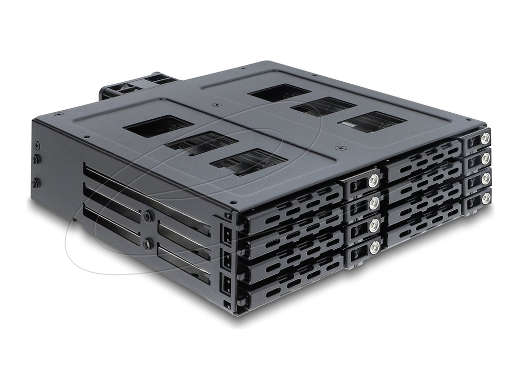 Delock Mobiles Speicher-Rack - with lock - 2.5" (6.4 cm)