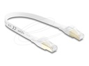 Delock Patch-Kabel - RJ-45 (M) zu RJ-45 (M)