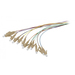 Synergy 21 LWL-Pigtail-LC 50/125u OM4 12-Pack farbig - Kabel - 2 m
