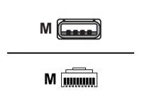 Zebra Kabel für Barcode-Scanner - USB (M)