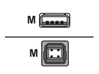 Zebra USB-Kabel - USB (M) zu USB Typ B (M)
